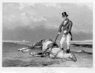 dedhorse.gif