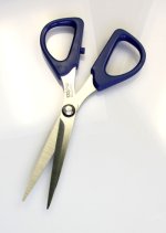 Scissors_493S.jpg
