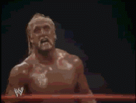 hulk hogan 13 (animated).gif