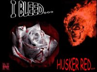 Bleed_Red__Small_.jpg