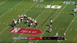 Morgan running free.jpg