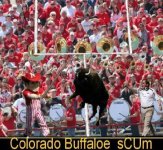 buffaloescum400x.jpg