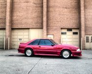198686_3770382501655_314520463_n.jpg