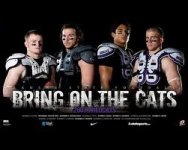 bring on the cats.jpg
