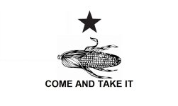 Come and Take it.jpg