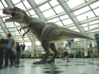 t_rex.jpg