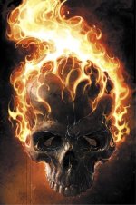 skull1cr3.jpg