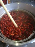 in the pot.jpg