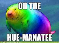 IMG_0014.GIF