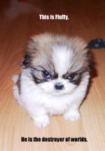 fluffydestroyer.jpg