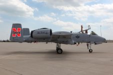 warthog2.jpg