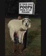 dogpoop.jpg