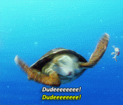 IMG_0035.GIF