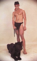 panther.jpg