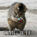 omgwtf.gif