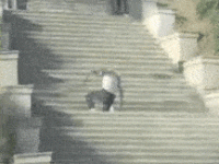 OrganicThoseBaiji-max-1mb.gif