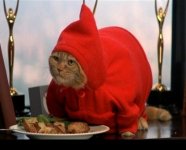 fatcat.jpg
