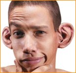 ears.jpg