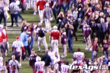 pelini02.jpg