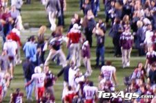 pelini03.jpg