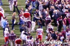 pelini04.jpg