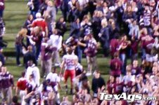 pelini05.jpg