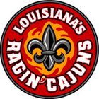 louisiana_lafayette_embraces_america_freedom_and_b.jpg