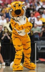 mutigers.jpg