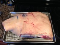 IMG_1004.JPG