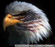 pics_patriotic-15.jpg
