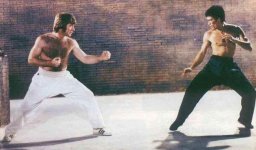 brucelee4.jpg