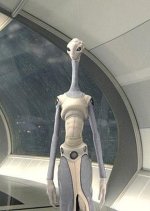 taun_we.jpg