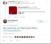 pola.PNG