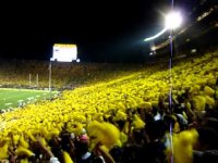 yellow.jpg