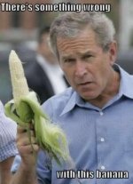 political_pictures_george_bush_some.jpg