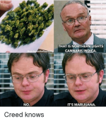 that-is-northern-lights-cannabis-indica-scatchyponthefli-ppityi-no-its-34311812.png