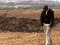 giphy-1.gif