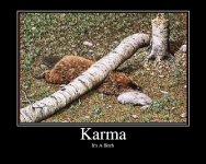 Karma.png
