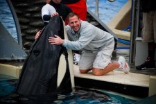 boshamu.jpg