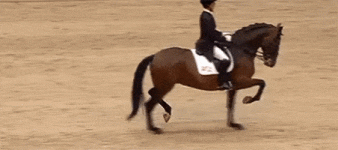 download (1).gif