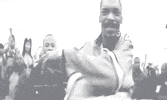 100.gif