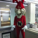 noid.jpg