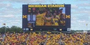mich-delete.jpg