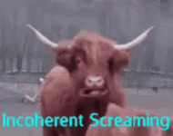 859ADDB9-7EA0-40FD-8E26-5BFC8D5BA746.gif