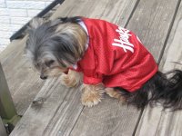 IMG_0732.jpeg