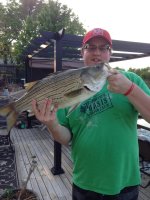striper.jpg