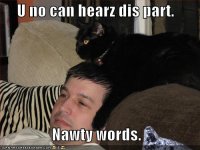 funny-pictures-cat-protects-you-from-adult-content.jpg