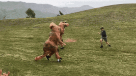 dinosaur-chasing.gif