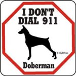 Doberman_911_640 (Medium) (Small) (Small) (WinCE).jpg