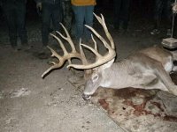 soleburydeer.jpg